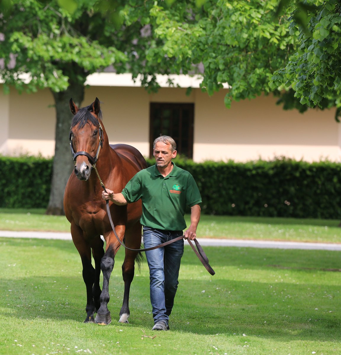 AgaKhanStuds's tweet photo. #Siyouni records a new 3yo winner as his daughter Fleur won a maiden by no fewer that 10 lengths today. Fleur is o/o a half-sister to triple G1 winner and Champion 2yo in the USA Flanders. Congratulations to her connections #Promising3yo #Sireonfire https://t.co/PhZvexe7ke
