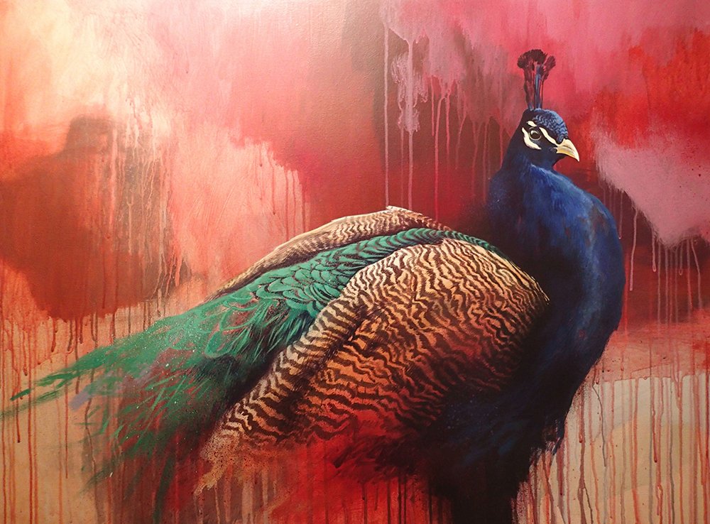 James Starr tweet media