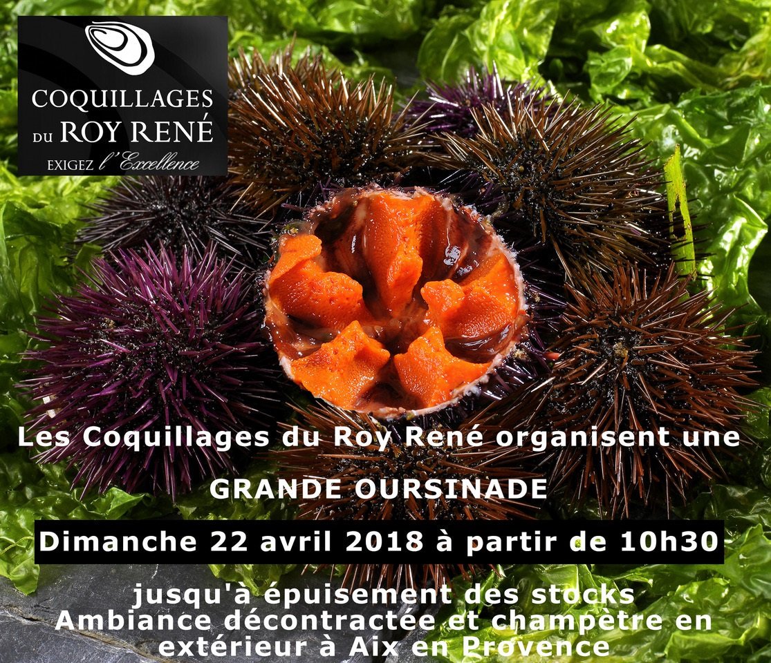 ⚠ Grande oursinade le dimanche 22 avril à partir de 10h30 ⚠ #oursinade #savethedate #theplacetobe #foodlover #seafood #coquillagesduroyrene #aixenprovence