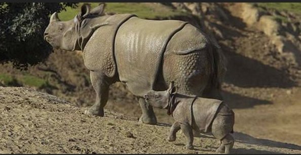 FaithNatureHub's tweet photo. Just heard. The newest wildlife sanctuary in the world (signed into  being on April 5) includes the Cambodia monks' community forest.  Wonderful. #natureforall https://t.co/COVjNDUq4D https://t.co/5gpCUPh2RK