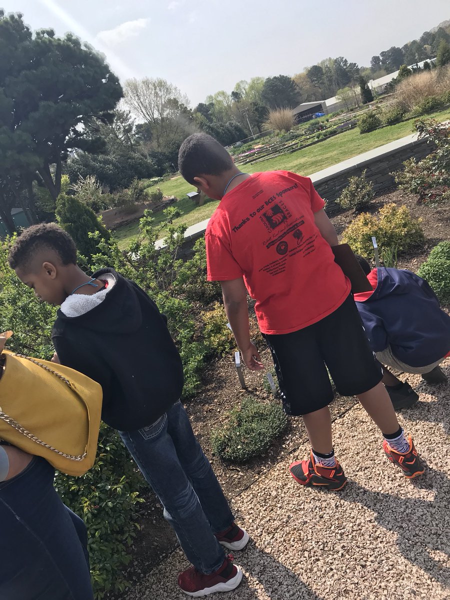 goughsclass's tweet photo. More learning about what plants needs and the processes of plants! So much to learn! #wearebriercreek #sciencerocks #3rdgrade https://t.co/Y5EUlpRpCk