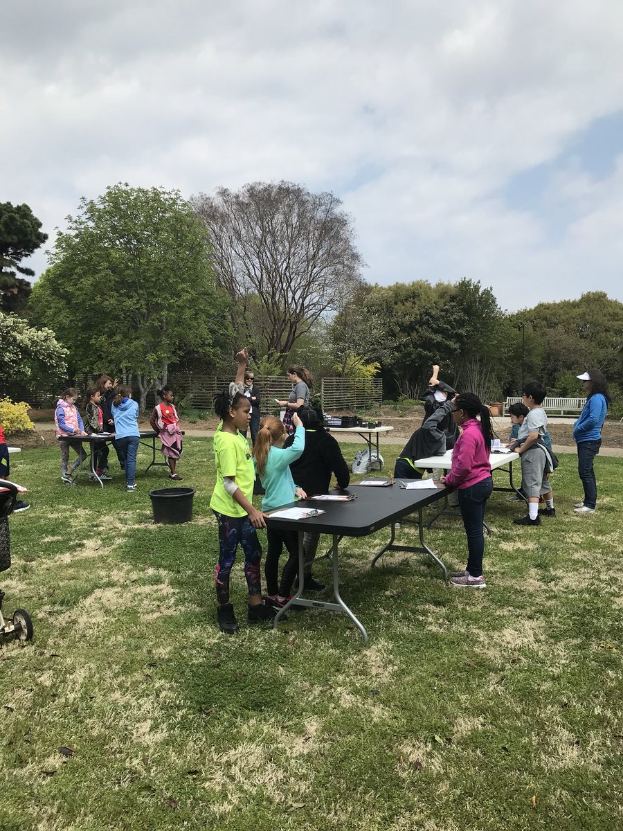 goughsclass's tweet photo. More learning about what plants needs and the processes of plants! So much to learn! #wearebriercreek #sciencerocks #3rdgrade https://t.co/Y5EUlpRpCk