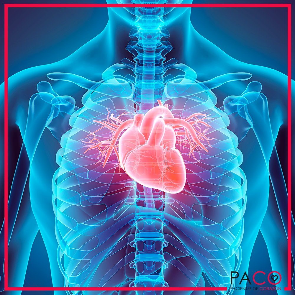 Pacientes De Corazón on Twitter: "#Sabíasque Le ubicación del corazón