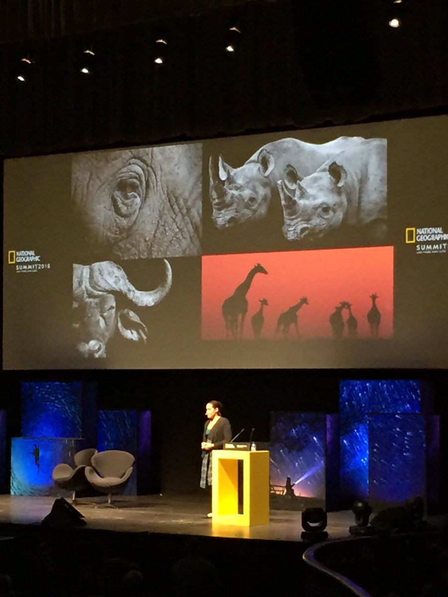PatmmPires's tweet photo. “You can’t study wildlife unless you are standing in the wildlife... that is why i do what i do” - Adjany Costa 
#nationalgeographicsummit https://t.co/xhYnVcnWTe