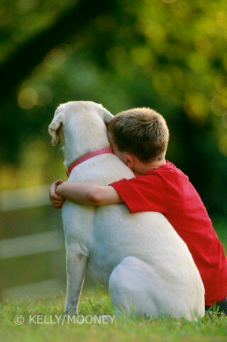 MiniOpener's tweet image. Its National pet day
Show your best friend some love.#NationalPetDay #bestfriends #love #dog #bff #friendship #grateful #AdoptDontShop #cats #blessed