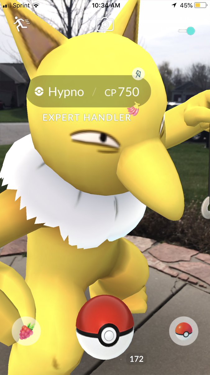 sara_snacks's tweet image. #Hypno #ExpertHandler