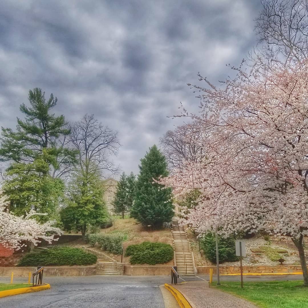 catholicueduc's tweet photo. Because #spring #Education #collegecampus #catholicuniversity https://t.co/DaUAA5vMId