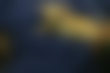 Please support my GoFundMe campaign: gofundme.com/5e4sas0?pc=tw_… <a href="/gofundme/">GoFundMe</a>