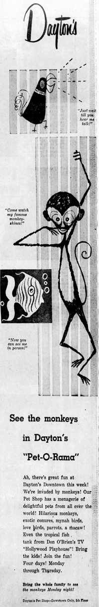 oldnews's tweet photo. Regarding the monkey remains found in the old Dayton's department store in downtown Minneapolis: Monkeys were all part of the show at the store's Pet-o-Rama in February 1958.

https://t.co/4ebKH7ulZb https://t.co/JLixmNFkFo