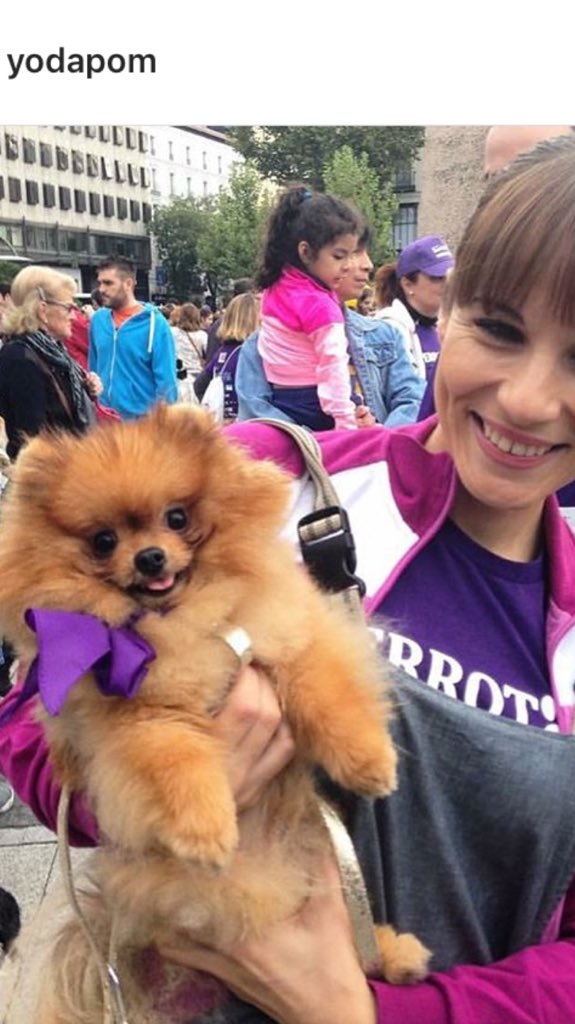 #yoda201 quiere ir a la final del más divertido en #100x100mascota