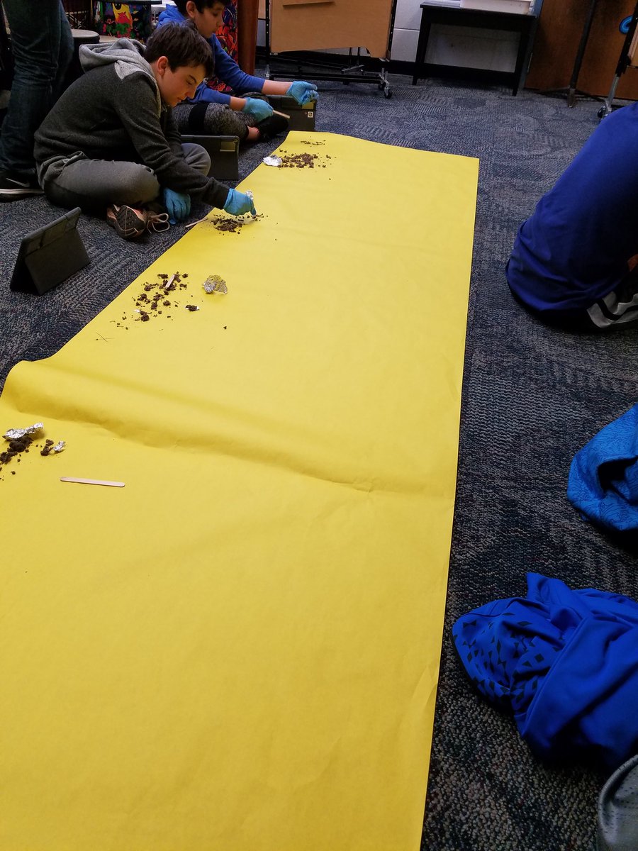 MrWestgard's tweet photo. Science Academy students kicking off week 1 with Animal Science - Owl Pellets #gwgreats https://t.co/WCEd5kczyu