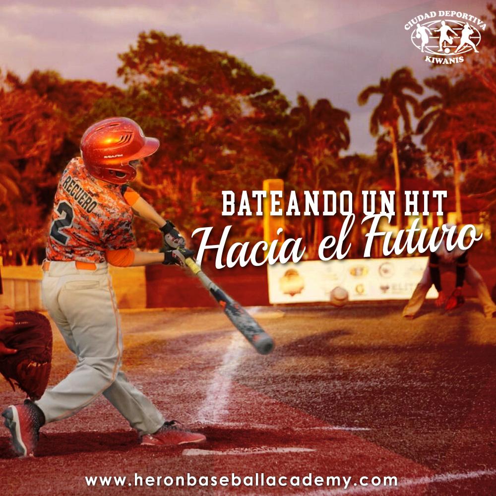 heronbaseballacademy tweet media