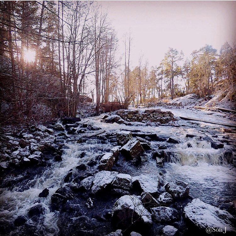 I love Nature tweet media