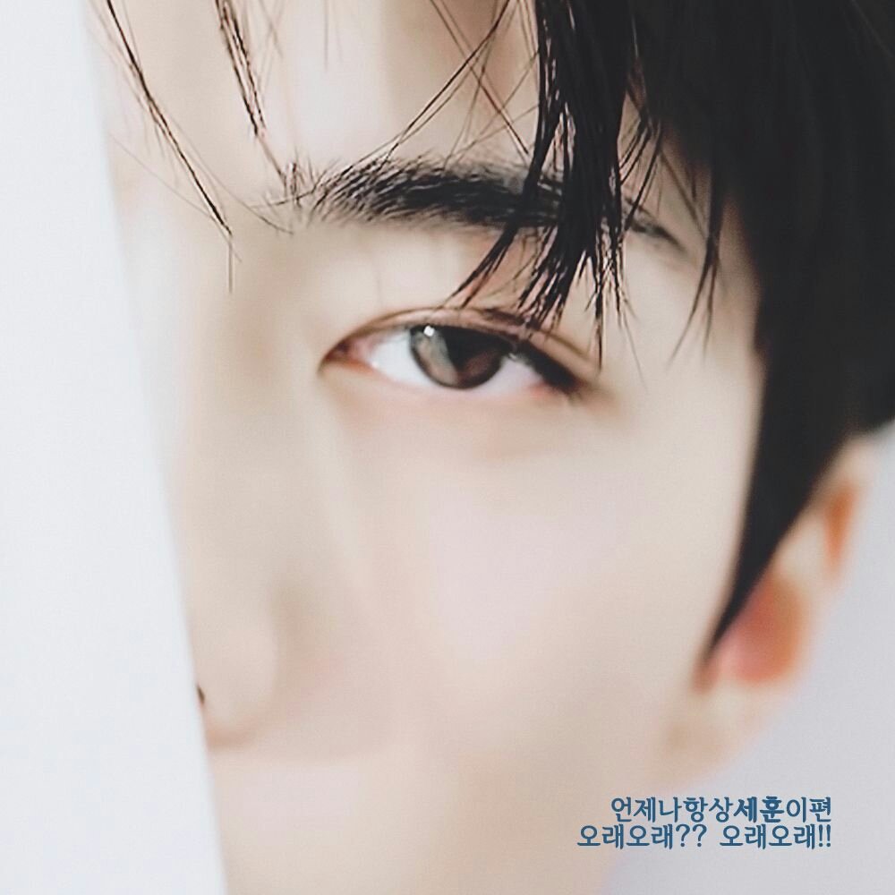 ExoLoverShipper's tweet photo. Love you so so so much~

#HappySehunDay 
@weareoneEXO https://t.co/vx8oewPpBb