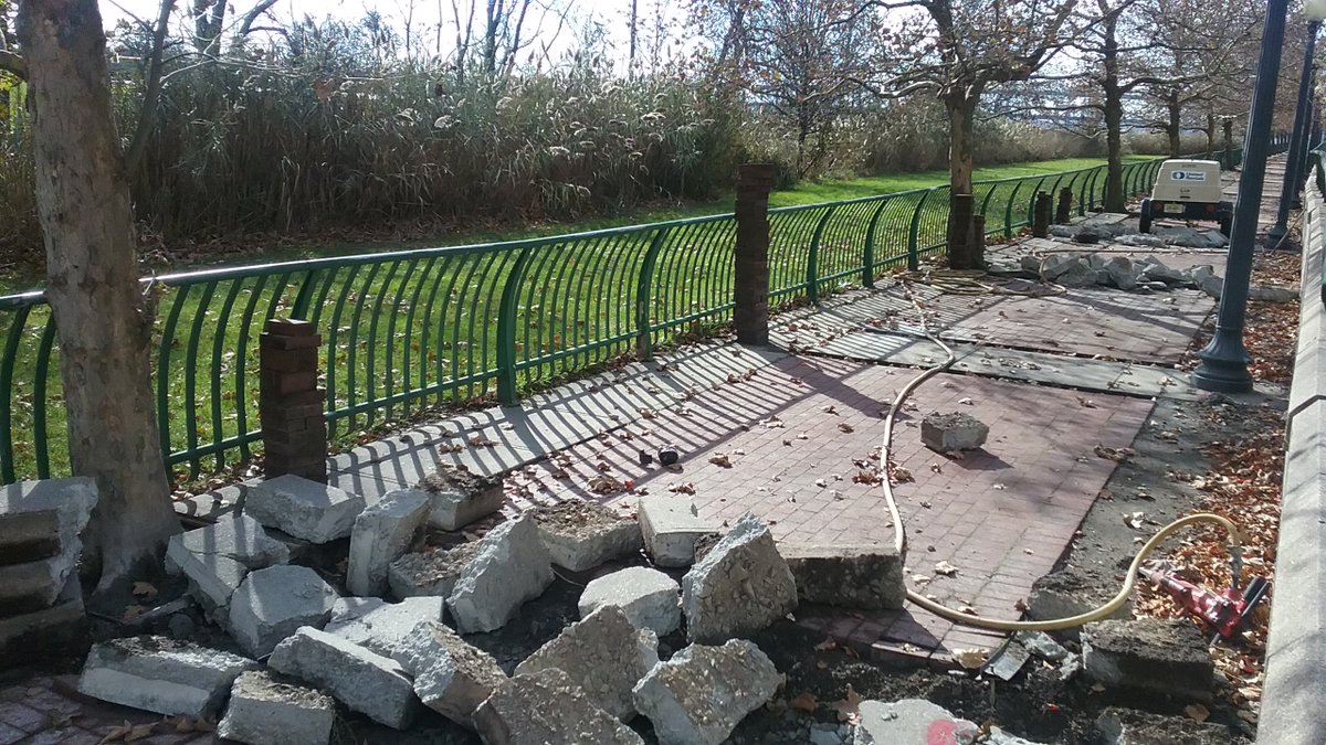 Arlene_the_Tree's tweet image. UPDATE:THREAT to these 84 mature Shelterbelt trees is REAL.  HELP PROTECT them from being CUT DOWN.  Please Sign Petition and RE-TWEET thepetitionsite.com/takeaction/107… ….#Treespeech @DannytheTree @BeatriceTheTree @Elvisthetree @sunshinethetree @junebugthetree @mabelthetree @bookerthetree