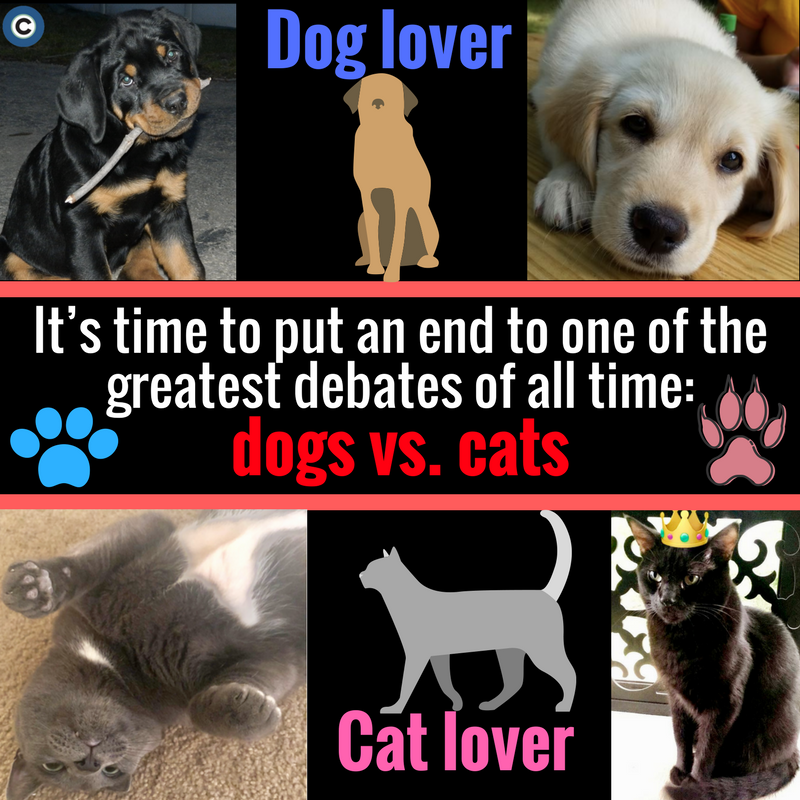 are dogs more preferred than cats