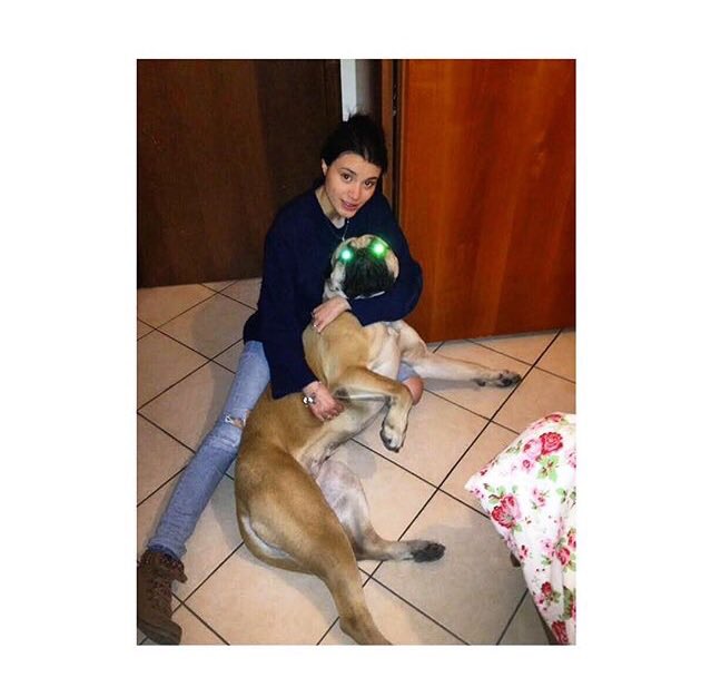dissenten's tweet photo. Oggi ho sognato che il mio cane moriva a sei anni (ne deve compiere appunto sei) e sono stra spaventata e continuo a pensare che la mia vita senza lei sarà vuota perché una come lei non ci sarà mai. È troppo unica è un personaggio è una persona https://t.co/AnnYyiTDA4