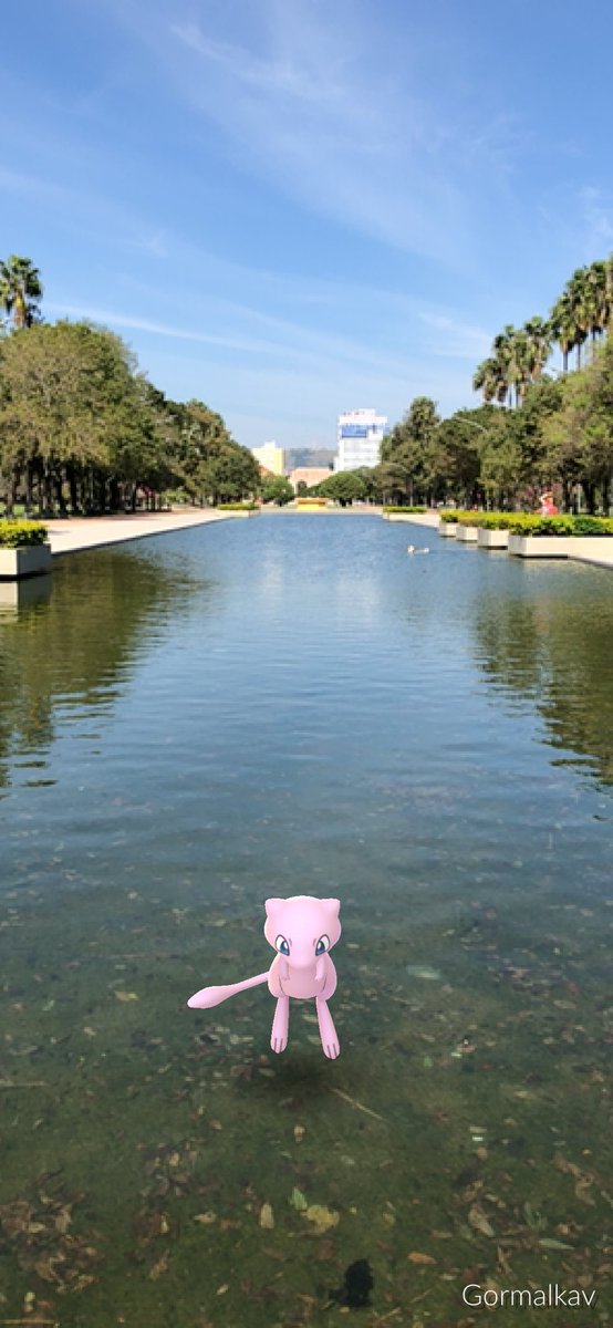 GleiberGor's tweet photo. @PokemonGoApp Hoje foi dia de encontrar o #Mew enquanto corria 10km no #parque da #Redenção em #portoalegre https://t.co/jlHnU9kQMU