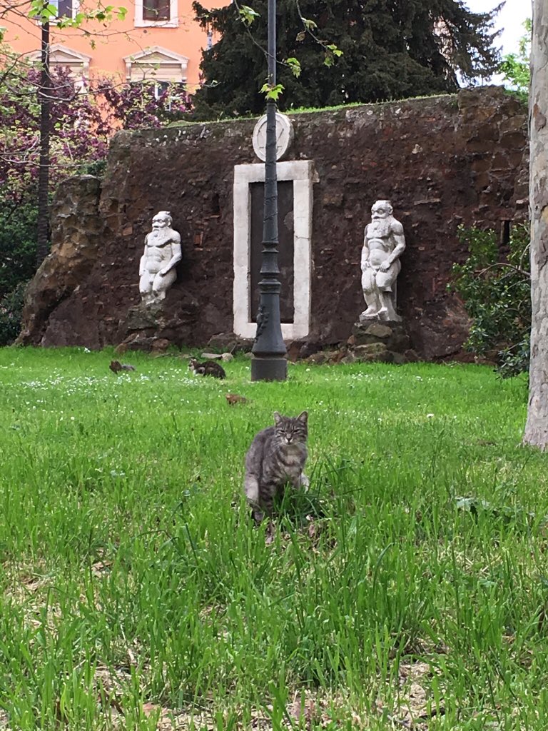amiedoubleD's tweet image. Porta Alchemica a magic door that that leads to another world. The portal is guarded by wild roaming cats. The real guardians to another galaxy! #touristadventures #amiedd