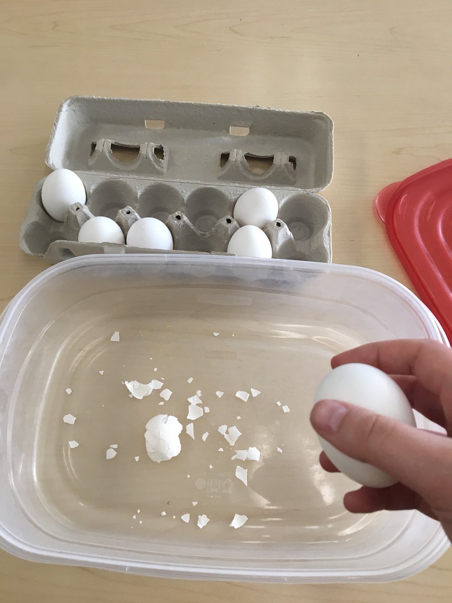 Liz (Mastalio) Schwind tweet media