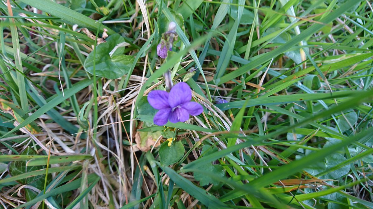 Sandhill House Country Retreat tweet media