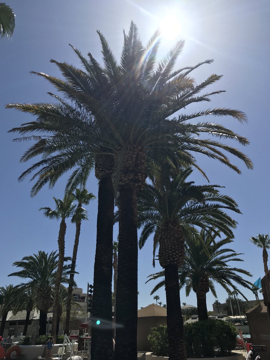 Tim Welsh tweet media