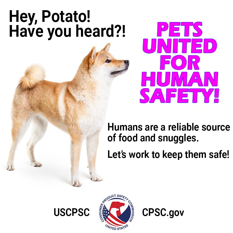 A picture of a dog. The text reads, "Hey Potato! Have you heard?! Pets United For Human Safety! Humans are a reliable source of food and snuggles. Let's work to keep them safe."