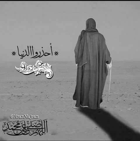 فاطمة حجة الحجج tweet media