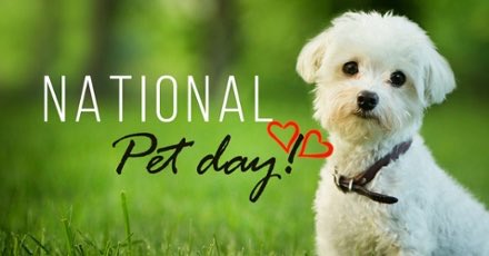 Edge Union Station tweet media