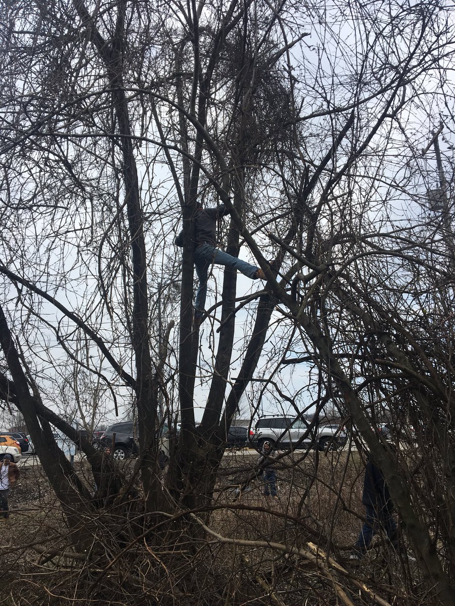 We had the BEST time cutting down trees and clearing space in this empty lot for the new rain garden in #Homewood with <a href="/OBBlock/">OperationBetterBlock</a> @GTECHstrategies @TIPgh <a href="/EatnPark/">Eat'n Park</a> #toyrustools #handsawlove