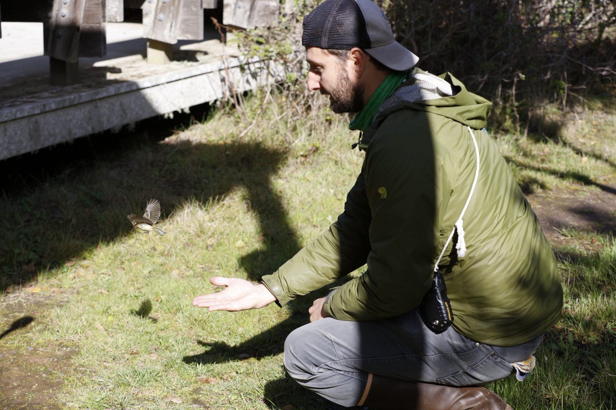 Please enjoy this @beprovided podcast episode featuring our #science and #training program out of our #Palomarin Field Station: bit.ly/2GTnT6K @PointReyesNPS #birdbanding #conservation