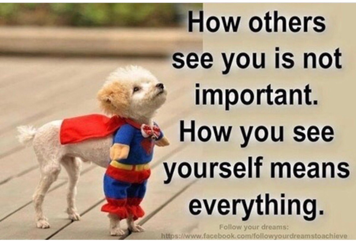 RyderEG's tweet photo. Amen to this!  #confidentdog https://t.co/kNC3nKRcVZ