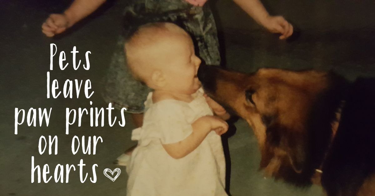 GFDaysinn's tweet image. #Pets can leave a lasting impression on us! What are some pet stories you can share with us to celebrate #NationalPetDay?