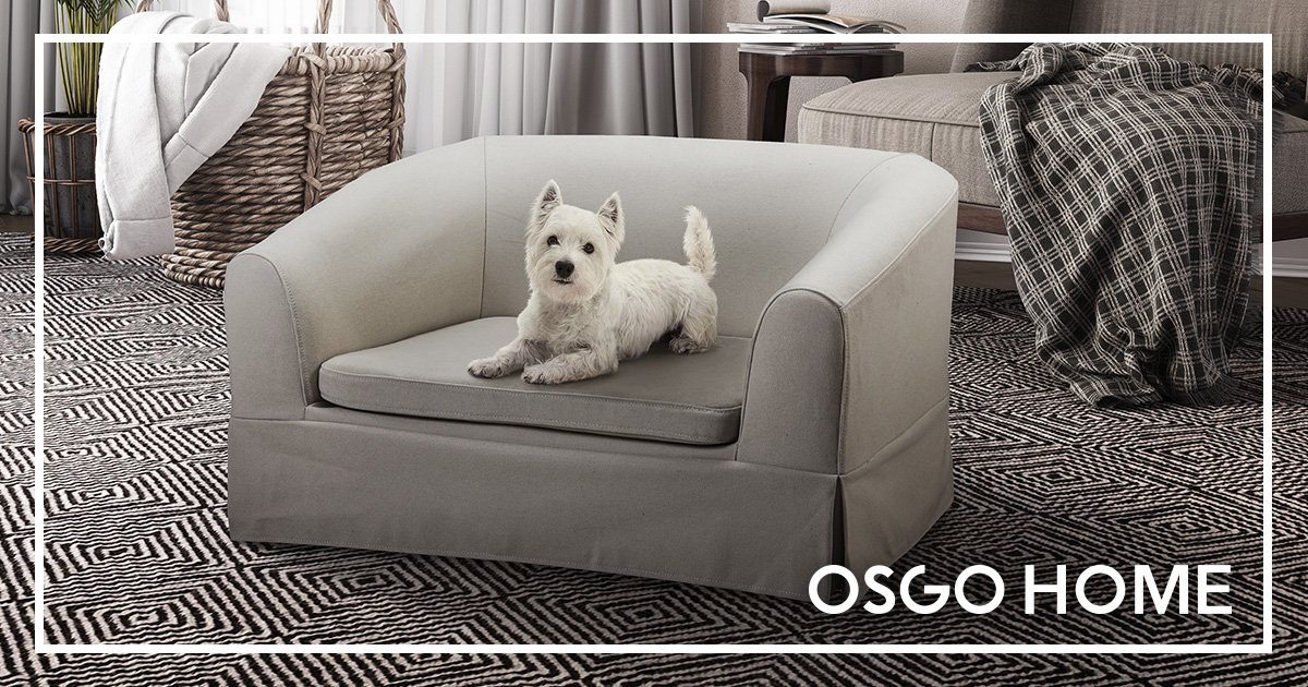 OSGOHOME's tweet photo. 🐶National Pet Day🐱
OSGO HOME has all kinds of #pets #furniture for your #home 🐕🐈 #nationalpetday #petsfurniture #dog #cats #mascot #petday #homepets #house #furnituretopets #apartment #homedecor  #outdoor #petshouse #petbed #petsofa #interiors #ilovemypet #elpaso #osgohome https://t.co/veFGdxs931