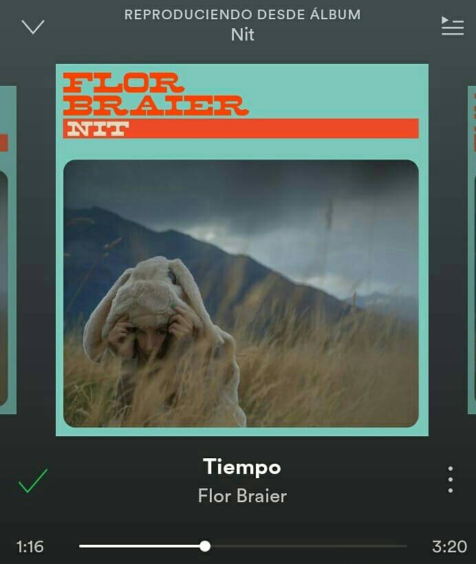 Estudio INGA tweet media