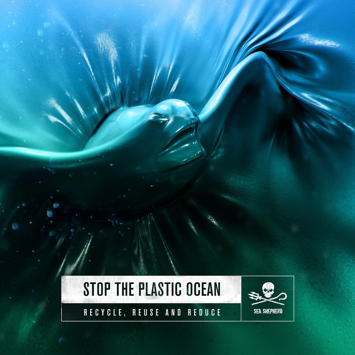 TC_SoundDesign's tweet image. New Work @TC_SoundDesign @FF_CC @AlkemyX  #Instagram #instagood #jj #instadaily 
#environment #nature #marineconservation #Marinelife #activism #environment #nature #marineconservation #dolphin #shark #turtle #fredfarid #ffcreative #ffcreativegroup #ffnewyork #plasticocean