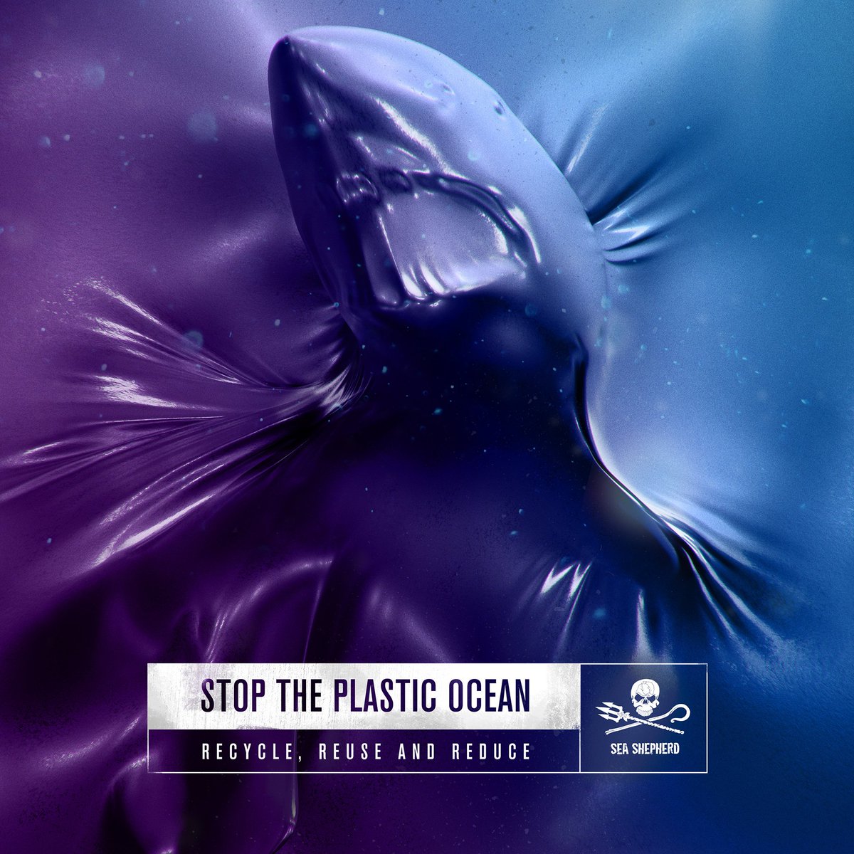 TC_SoundDesign's tweet image. New Work @TC_SoundDesign @FF_CC @AlkemyX  #Instagram #instagood #jj #instadaily 
#environment #nature #marineconservation #Marinelife #activism #environment #nature #marineconservation #dolphin #shark #turtle #fredfarid #ffcreative #ffcreativegroup #ffnewyork #plasticocean