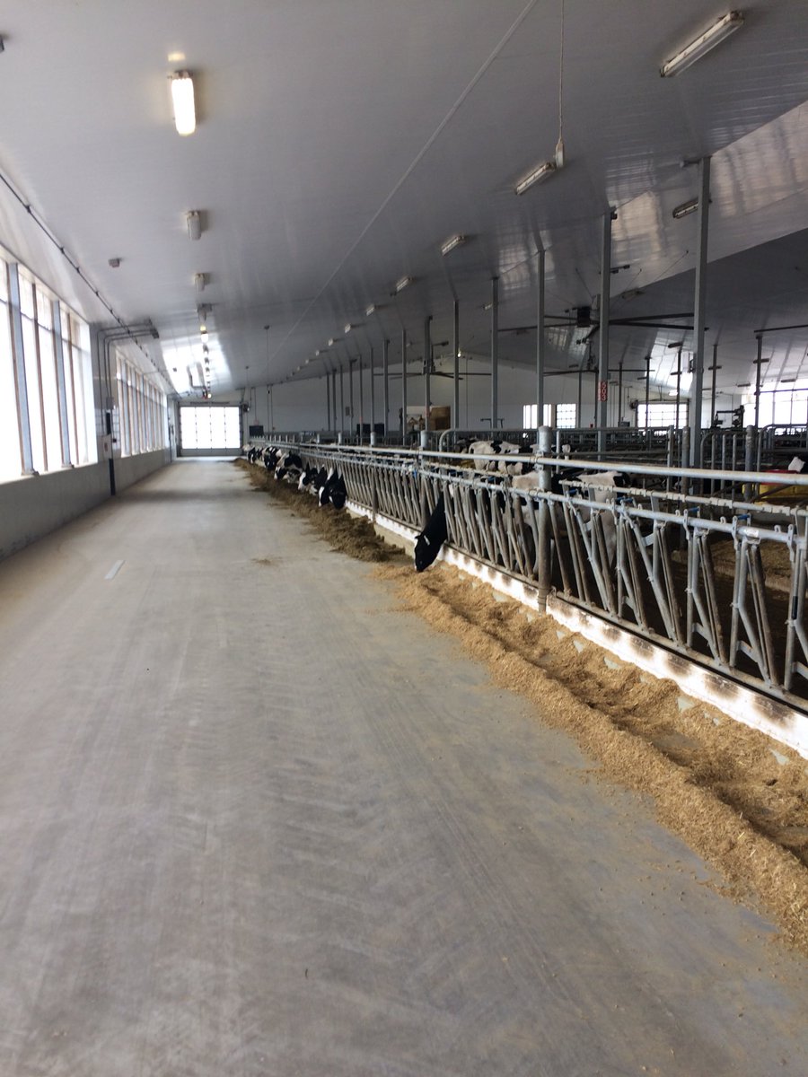Laur_1994's tweet photo. Fantastic few days in Canada visiting a number of different farms and systems along with the excellent facilities at the University of Guelph and Semex stud. @RHC_Agriculture @UCReaseheath @Semex https://t.co/UTanUfdJ9P