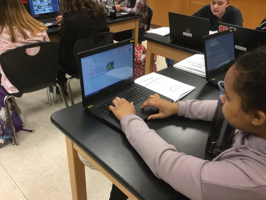 mrsgibson80's tweet photo. Ecology introductions: researching and sharing about ladybugs and aphids.🐞🌹 #NASDLearns #biolove https://t.co/TSmEXuNdKq