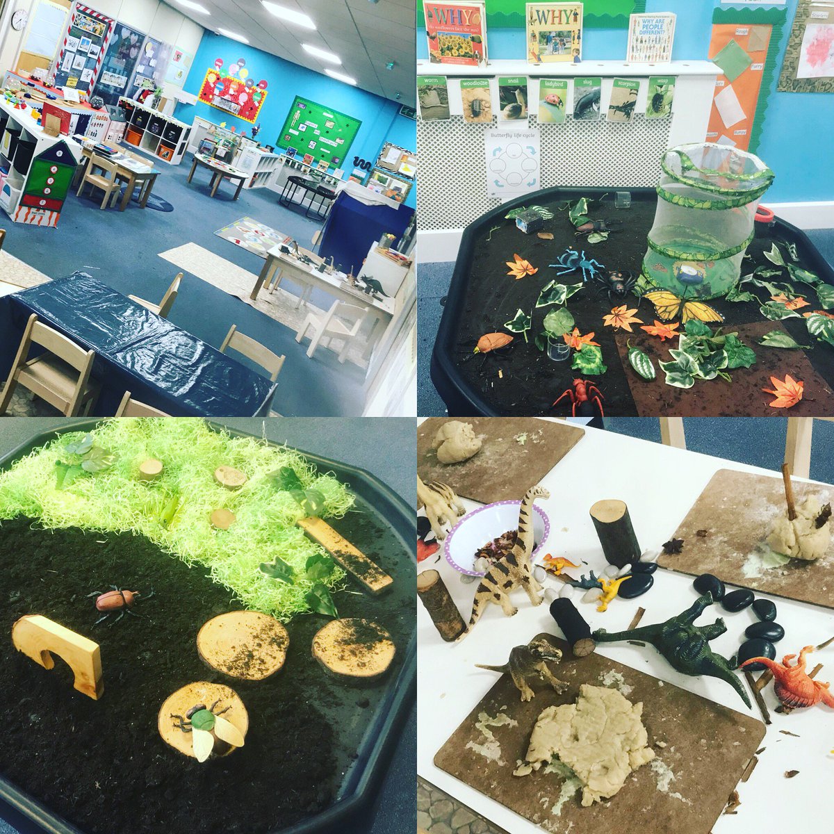kkloudnursery's tweet photo. 🐛🐜Mini beasts and dinosaurs 🦕 🦖 #minibeast #dinosaur #earlyyears #nursery #childcare #childcareprovider #children #preschool #under2s #learningthroughplay https://t.co/W8AuRPU5AQ