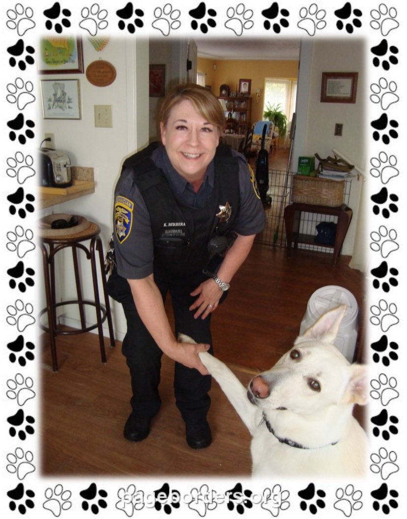 San Leandro PD on Twitter: San Leandro PD on Twitter: