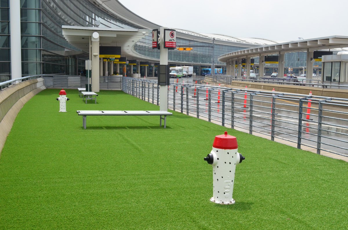 TorontoPearson's tweet photo. Nature called, we answered! If you're travelling with your fur baby, our Pet Zones at Terminals 1 and 3 provide a comfortable space for dogs to relieve themselves before you go through security. #NationalPetDay https://t.co/u3o7pBIMdk