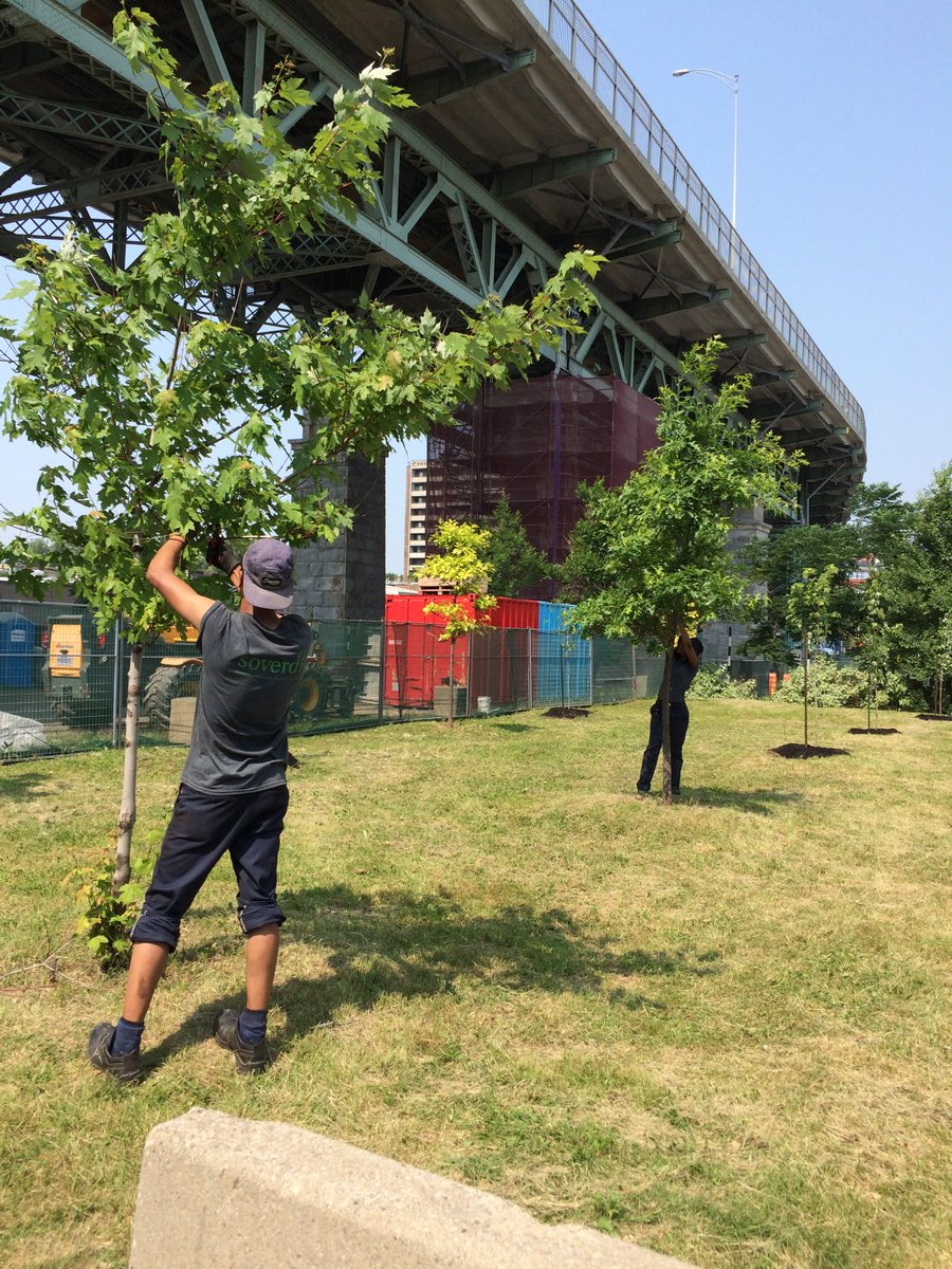 [OFFRE D'EMPLOI - #horticulteur/#horticultrice]
Si tu rêves à une #villeverte et que tu cherches de nouveaux défis, ce poste va t'intéresser!

Faites passer le mot! 🌱bit.ly/2Hsie8J