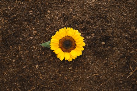 normannichol_88's tweet image. #AugmentedAdvertising, #BestAugmentedRealityApps Epic Games&apos; Fortnite goo.gl/vaWNf6