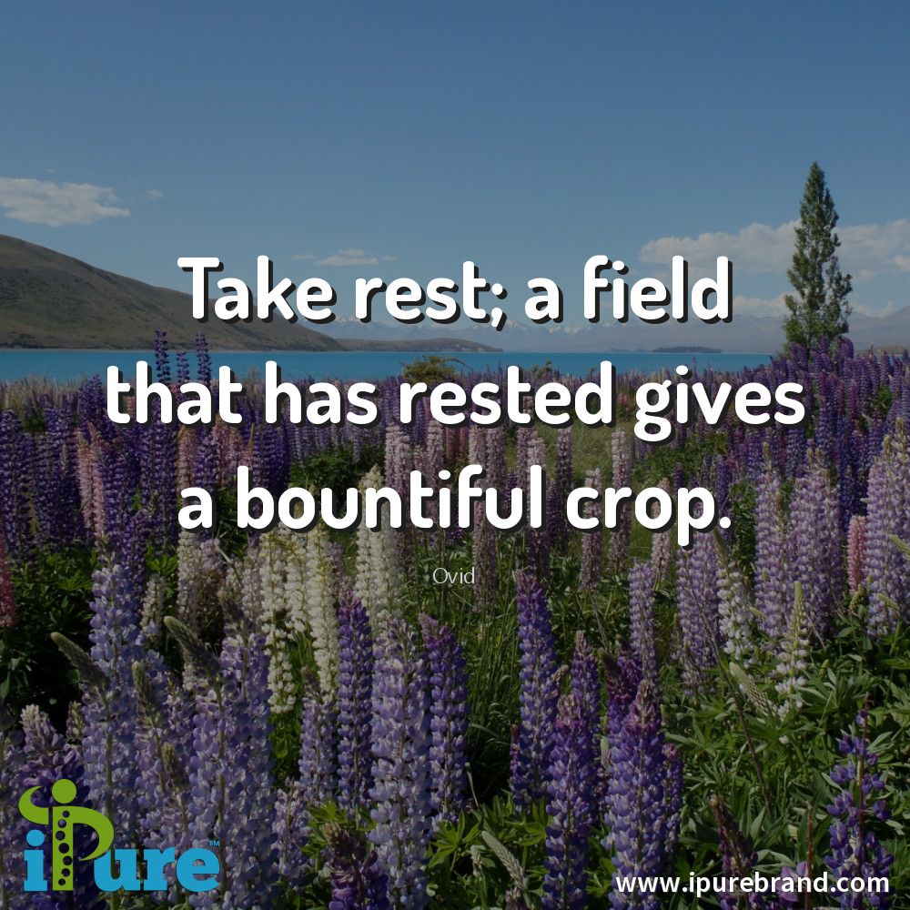 ipurecompany's tweet photo. Take rest, a rested field gives a bountiful crop.
https://t.co/qNuJiTaSLR #ipure #healthyliving #healthy #detox #cleanliving #love #life #motivation #photooftheday #newcontender #opioidepidemic #herbal #natural #newlife #wellness #repost #follow https://t.co/K8hWwPL3pf