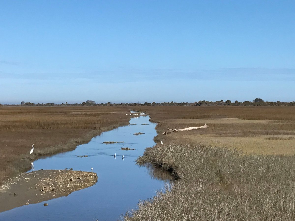 GaDOEScience's tweet photo. The 6th grade science curriculum map is now available! Visit https://t.co/BK3vQZ6jXv  There are phenomenal connections to GA's barrier islands and caves! https://t.co/h7Rf526C23