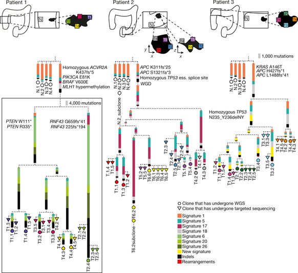 Nicolas Robine tweet media