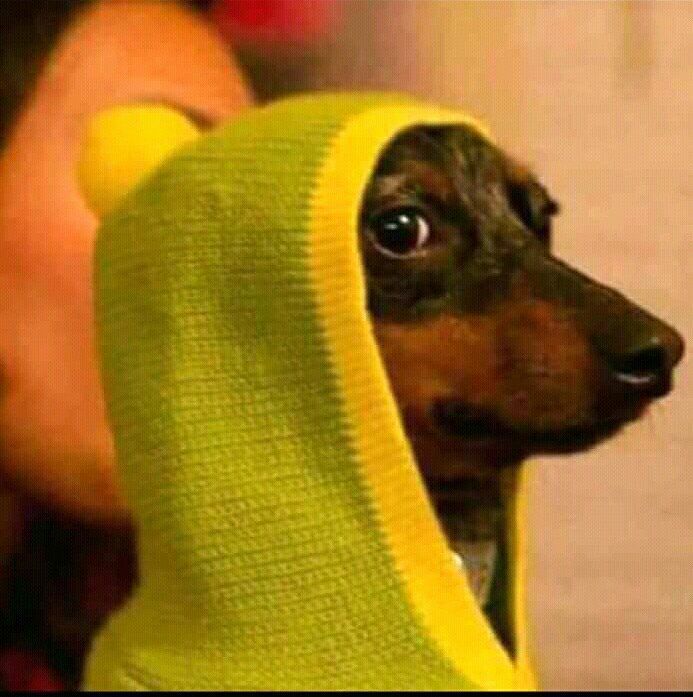 Princess_Kageha's tweet image. Venye comrades tunangoja kuskia #LecturersStrike imeisha😭😭😭