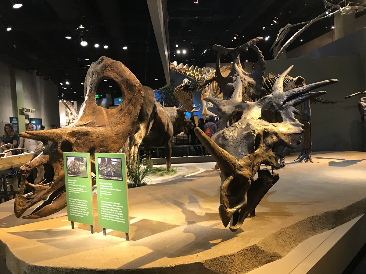 Fun with third grade at Perot!