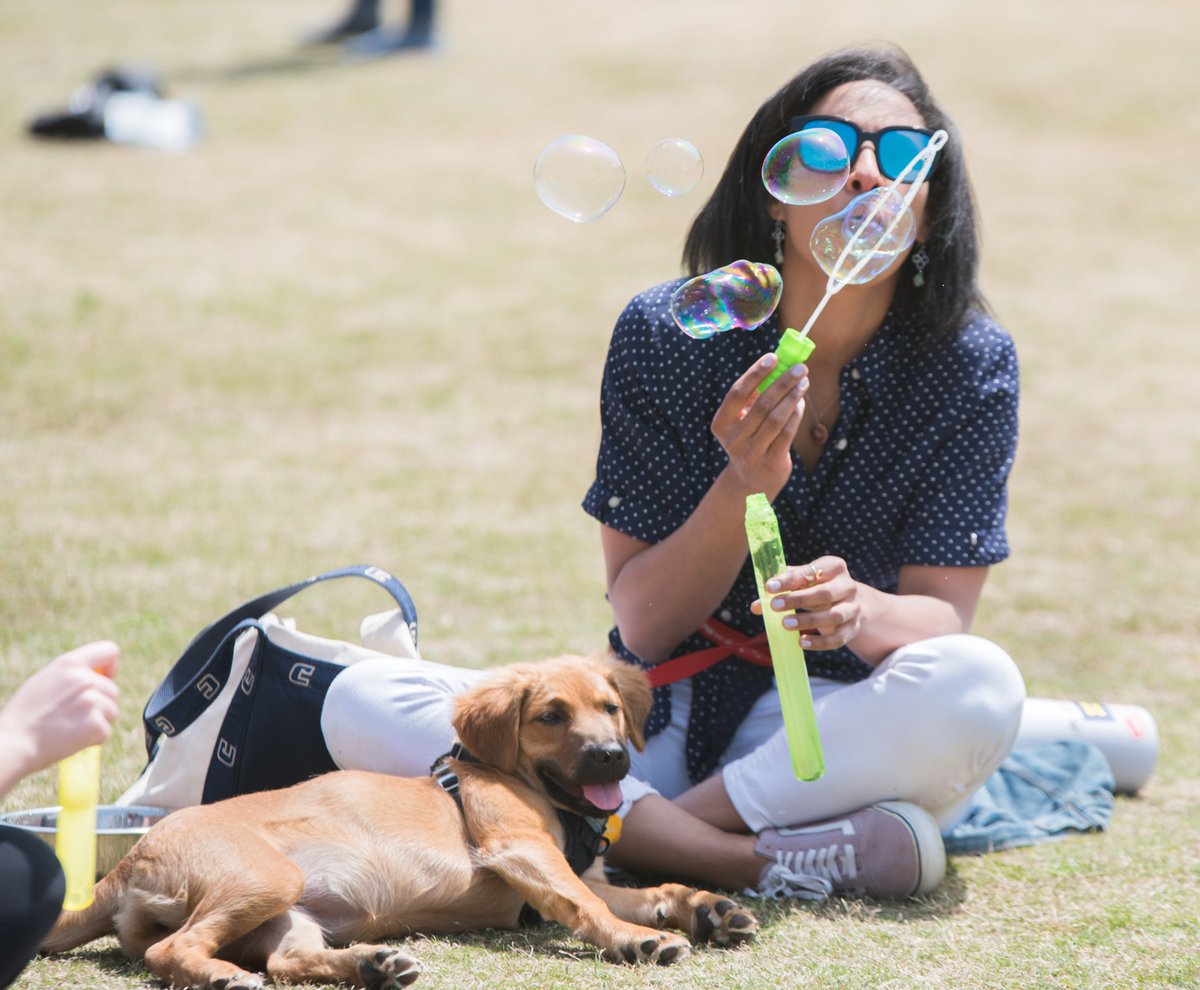 UTChattanooga's tweet photo. Mocs destress with bubbles 🛁, puppies 🐕, yoga 🧘🏾‍♂️ &amp; more at the Spring into Summer event on Chamberlain Field. https://t.co/ChawspL2kF